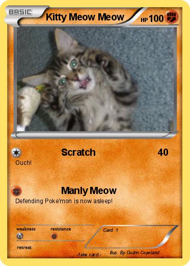 Pokemon Kitty Meow Meow