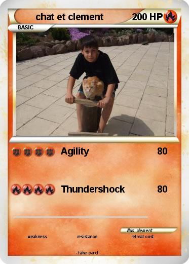 Pokemon chat et clement