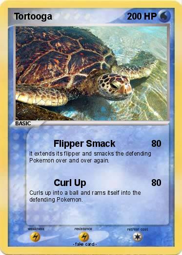 Pokemon Tortooga