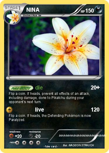 Pokemon NINA