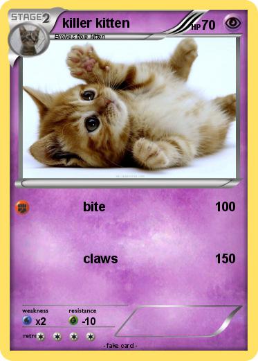 Pokemon killer kitten