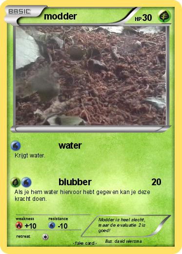 Pokemon modder