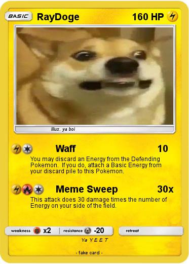 Pokemon RayDoge