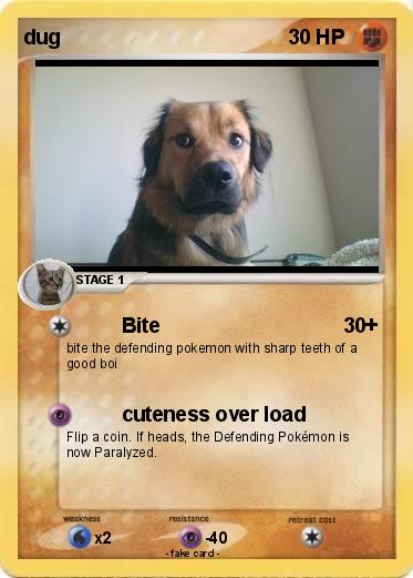 Pokemon dug