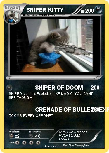 Pokemon SNIPER KITTY