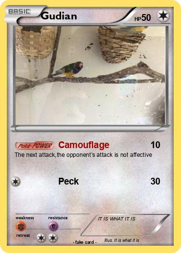 Pokemon Gudian