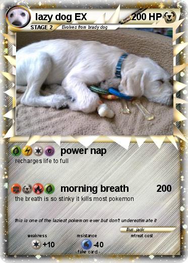 Pokemon lazy dog EX
