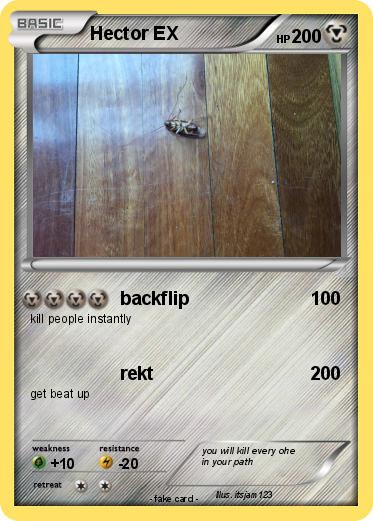 Pokemon Hector EX