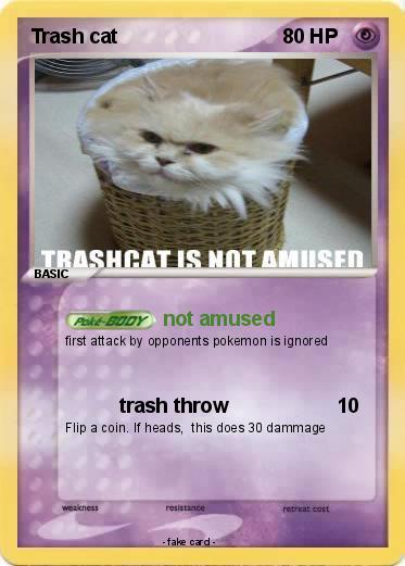 Pokemon Trash cat