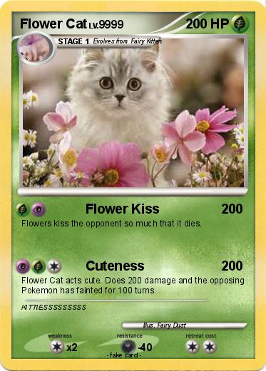 Pokemon Flower Cat