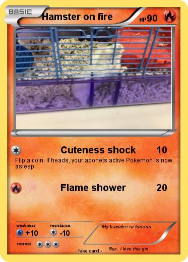 Pokemon Hamster on fire