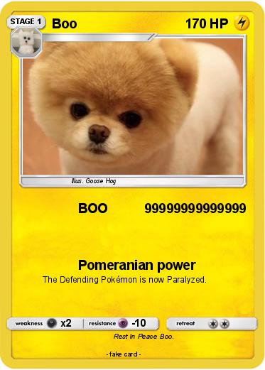 Pokemon Boo