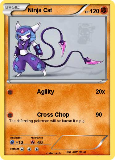 Pokemon Ninja Cat