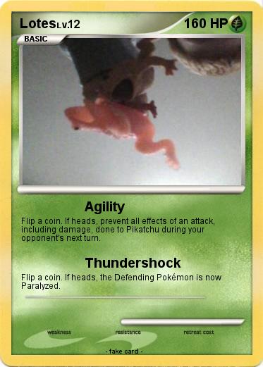 Pokemon Lotes