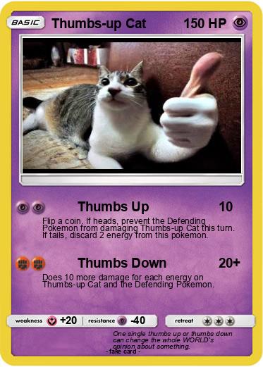 Pokemon Thumbs-up Cat