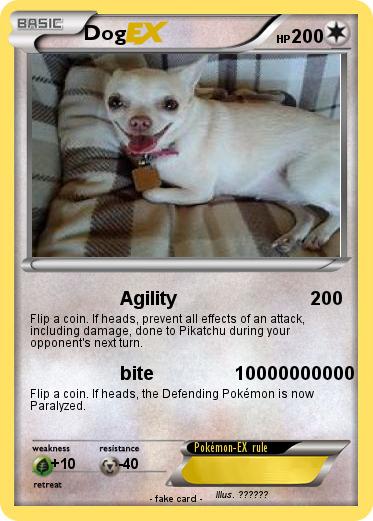 Pokemon Dog