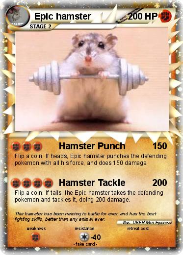 Pokemon Epic hamster