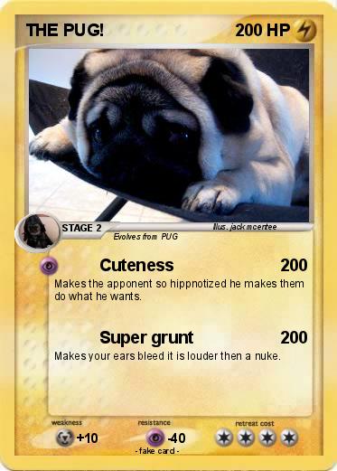 Pokemon THE PUG!