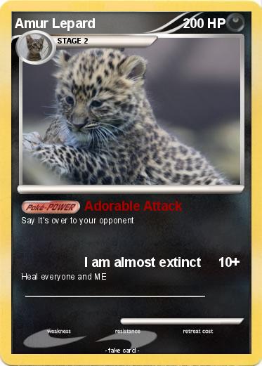 Pokemon Amur Lepard