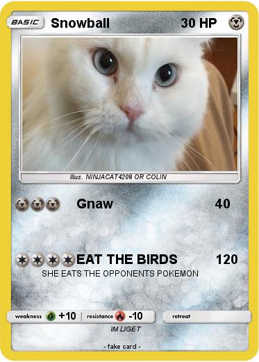 Pokemon Snowball