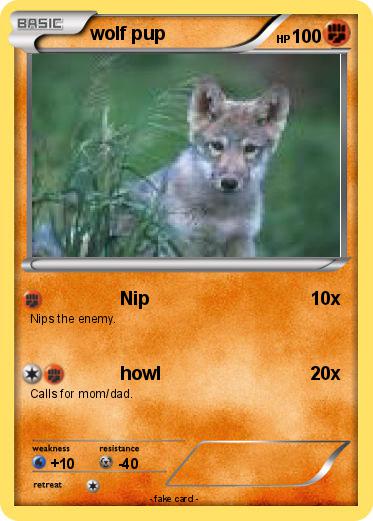 Pokemon wolf pup
