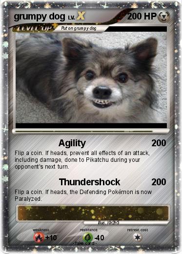 Pokemon grumpy dog