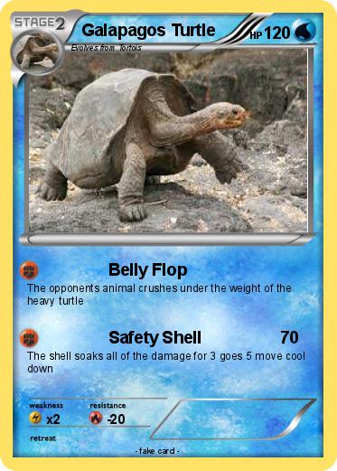 Pokemon Galapagos Turtle