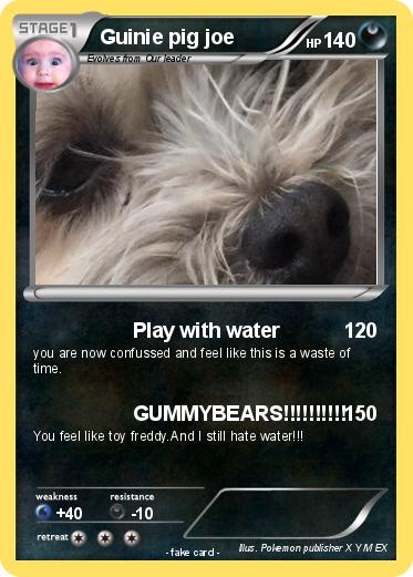 Pokemon Guinie pig joe