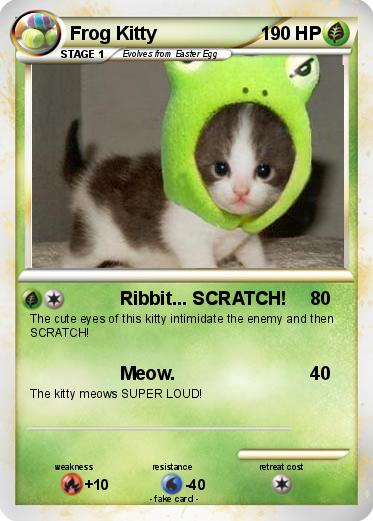 Pokemon Frog Kitty