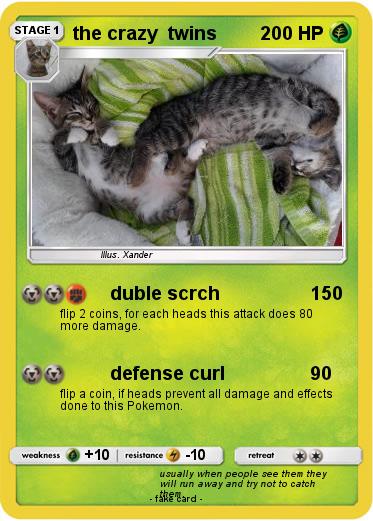Pokemon the crazy  twins