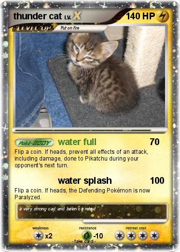 Pokemon thunder cat