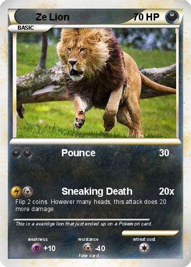 Pokemon Ze Lion