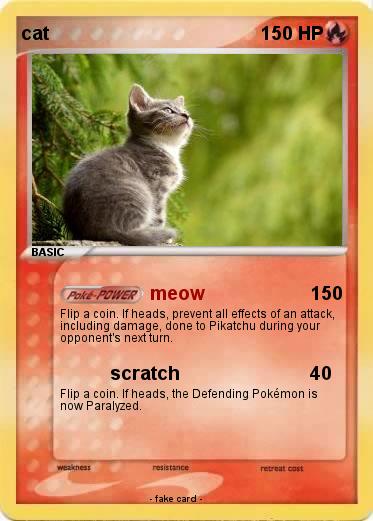 Pokemon cat