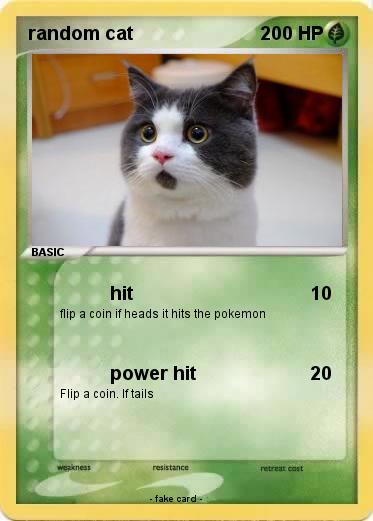 Pokemon random cat