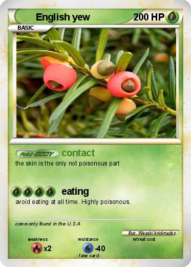 Pokemon English yew