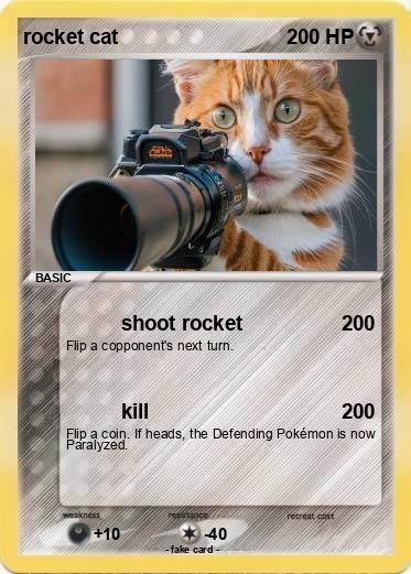 Pokemon rocket cat