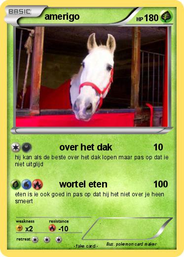Pokemon amerigo