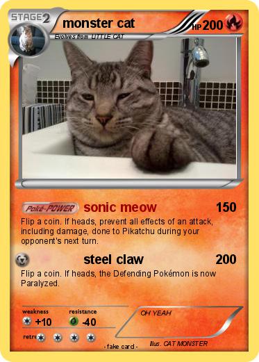 Pokemon monster cat