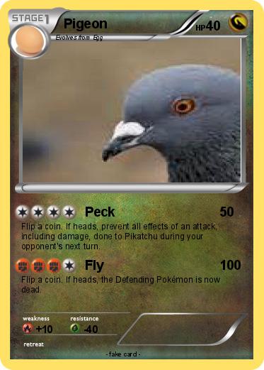 Pokemon Pigeon