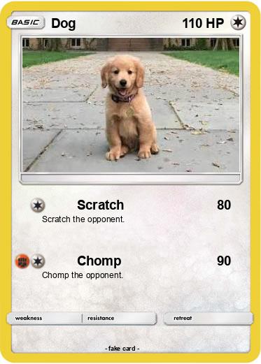 Pokemon Dog
