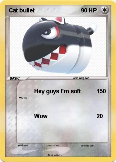 Pokemon Cat bullet