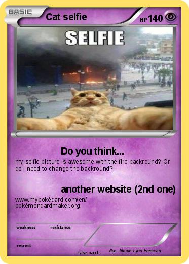 Pokemon Cat selfie