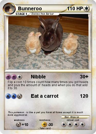Pokemon Bunneroo