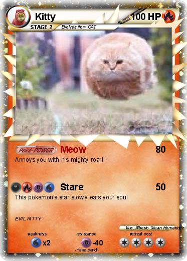 Pokemon Kitty