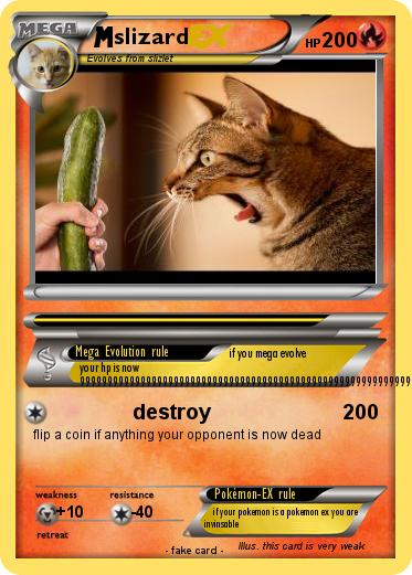 Pokemon slizard