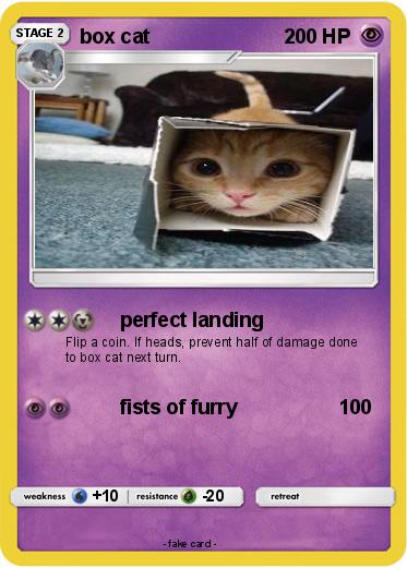 Pokemon box cat