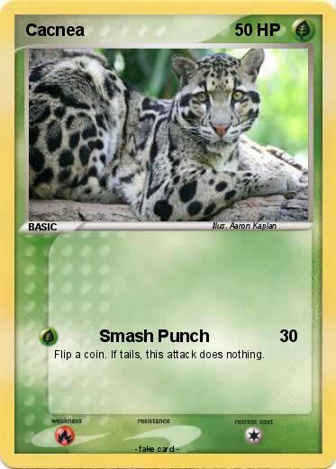 Pokemon Cacnea