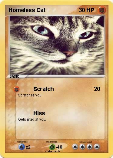 Pokemon Homeless Cat