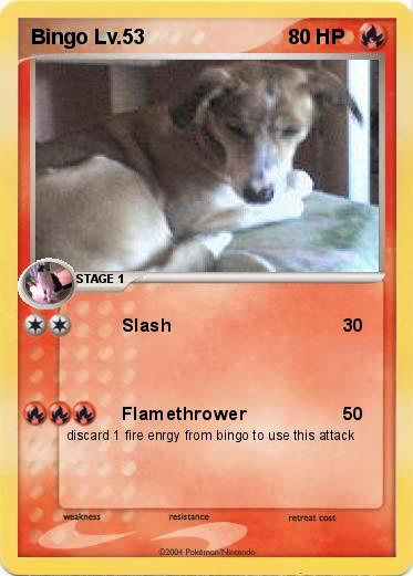 Pokemon Bingo Lv.53