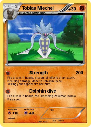 Pokemon Tobias Miechel